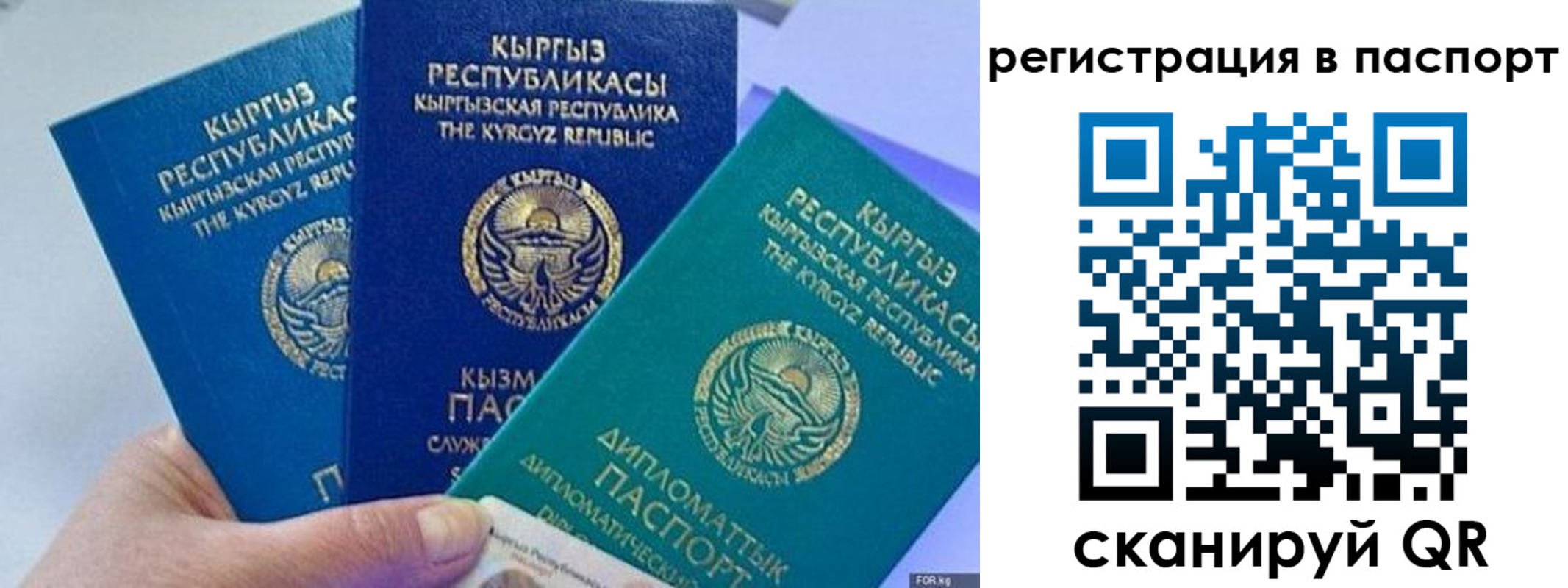 прописка 2025 в Видном